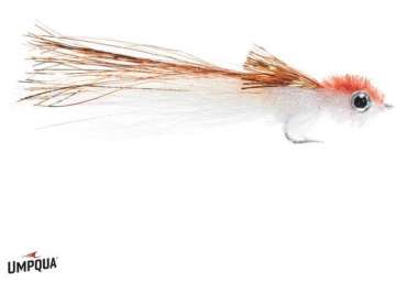 Murdich Minnow
